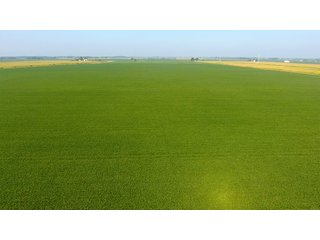Property photo 12 - LAND AUCTION - 359+/- ACRES IN 2 FARMS IN EAST ALLEN CO., INDIANA & PAULDING CO., OHIO